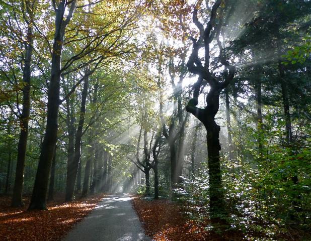 Vila De Patrijs Oudemirdum Exteriér fotografie