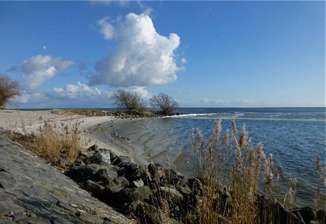 Vila De Patrijs Oudemirdum Exteriér fotografie